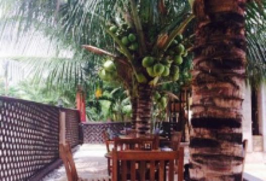 Momo's Pool Bar美食图片