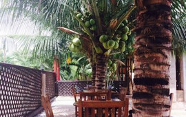 Momo's Pool Bar