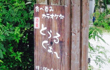 Torugua餐厅图片