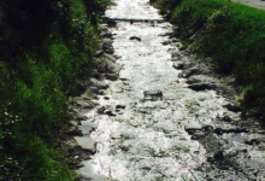Hirners美食图片