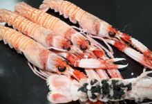 Pescados y Mariscos Galma购物图片