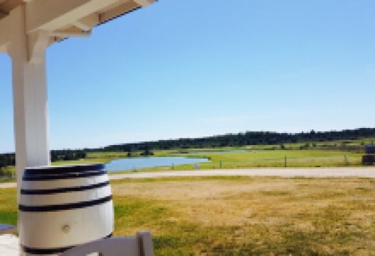 Giangiacomo美食图片