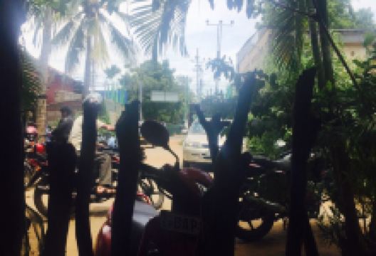 Royal Restaurant美食图片