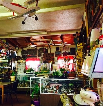 Mr. Maestas餐厅图片