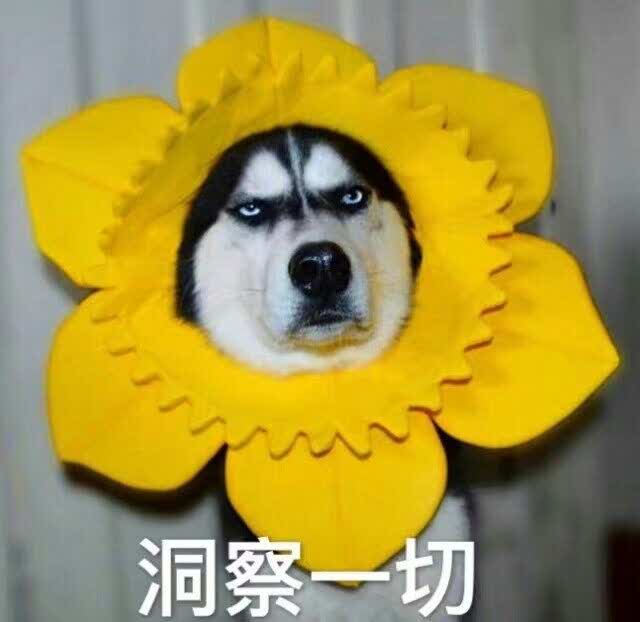 正新鸡排·炸鸡烧烤(和桥店)