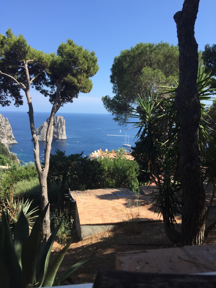 Ristorante Il Geranio餐厅图片