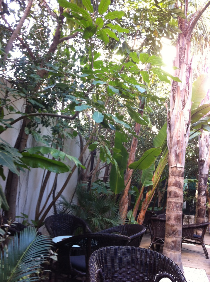 Black Coffee餐厅图片