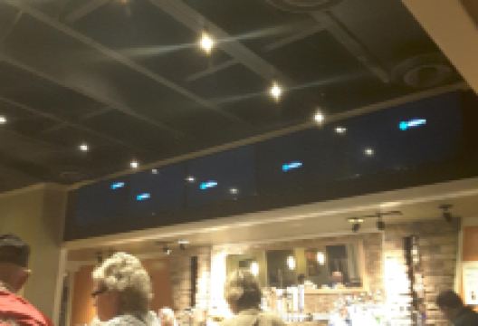 Chili's Grill & Bar美食图片
