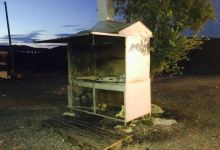 Grill Kamenice美食图片