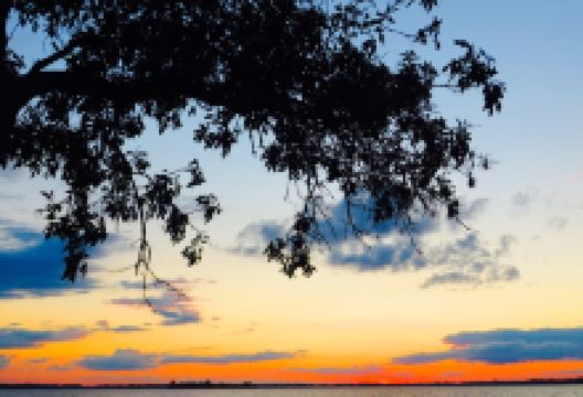 Storm Lake Bakery美食图片