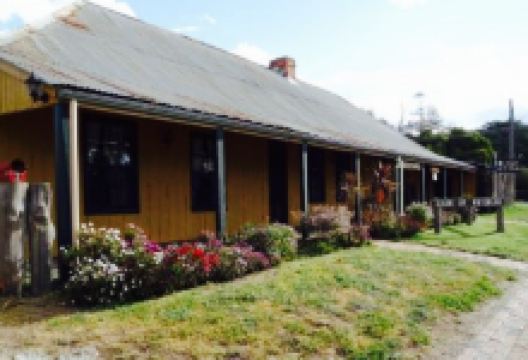 Lion of Waterloo美食图片