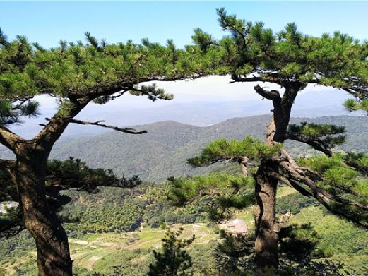 铜锣寨