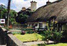 The Good Room美食图片