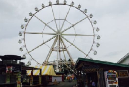 Miyama Ice Cream Kobo美食图片