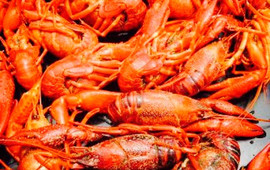 HotHeads Crawfish