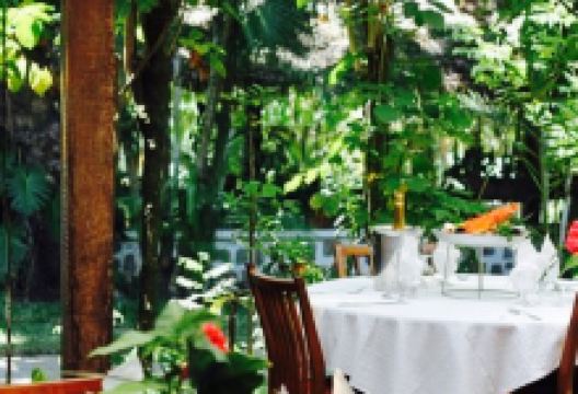 Restaurant Le Dauphin美食图片