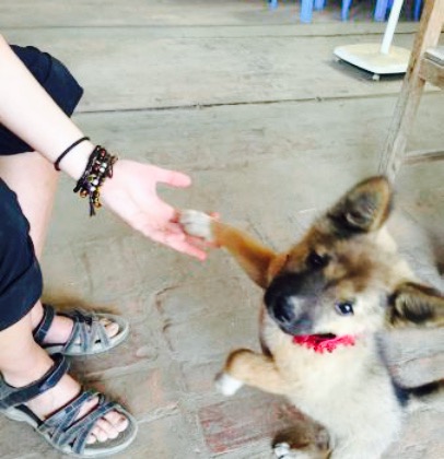 Thidar San餐厅图片