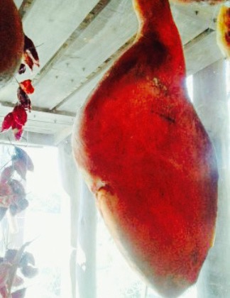 Fabrica de Chacinados El Campito