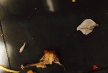 KFC美食图片