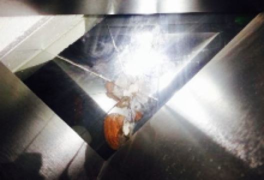 Silver Grill美食图片