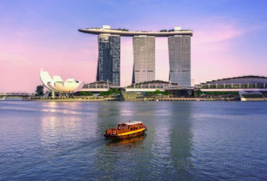 新加坡+鱼尾狮公园一日游【空中花园城市，行程可根据需求调整】【安全舒适的包车服务，行程设计宽松，彰显度假休闲理念】