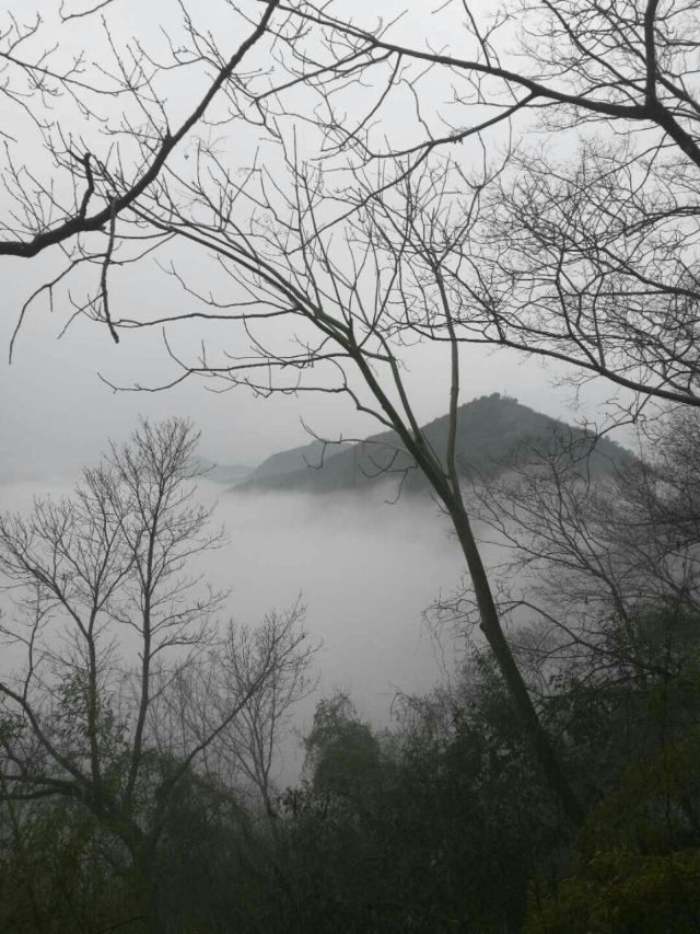 Hangzhou Lingyin Temple and Feilai Peak Scenic Spot