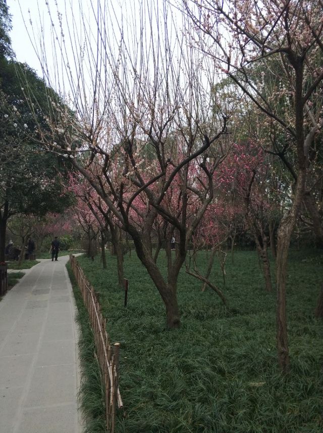 Du Fu's Thatched Cottage