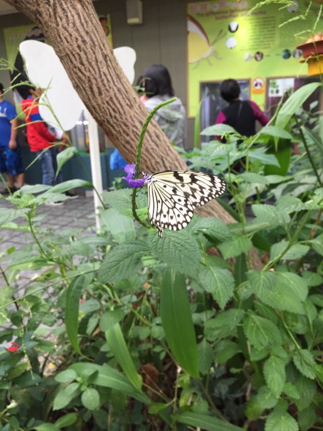 Taipei Zoo