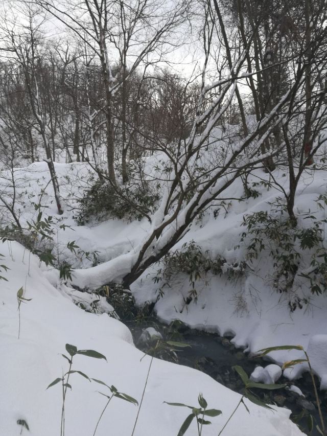 Oyunuma Pond