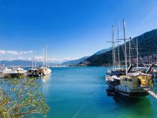 马尔马里斯-马米勒斯-可可喵0_0