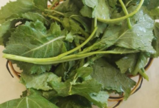 独菇一味美食图片