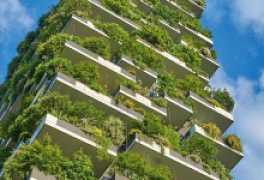 棉船商场购物图片