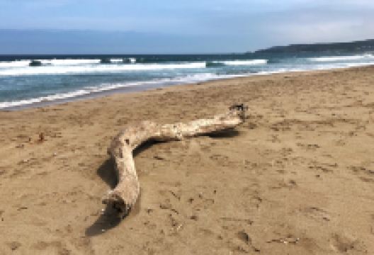 青森市旅游图片-八户2日游