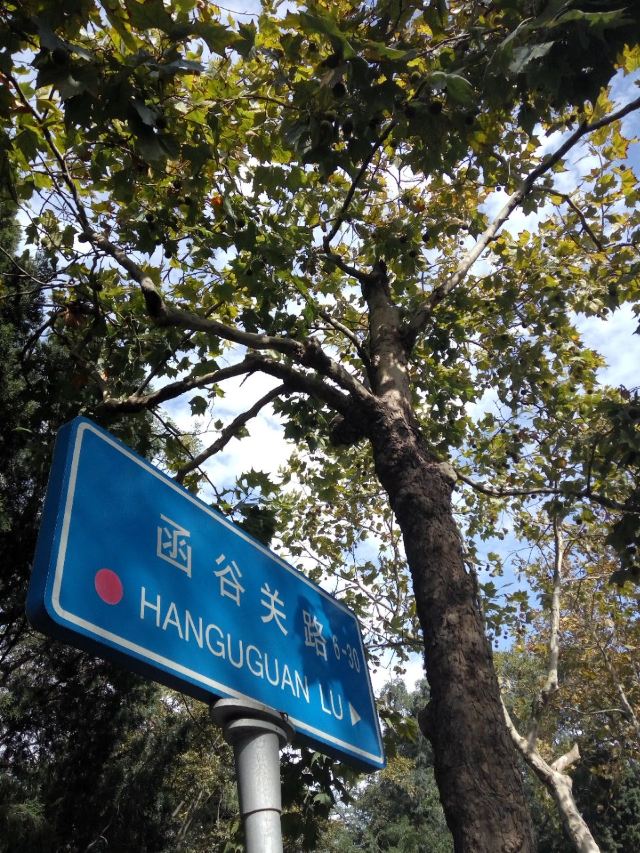 바다관(팔대관)