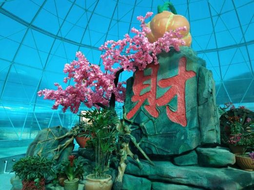 寻乌蔬菜主题文化园