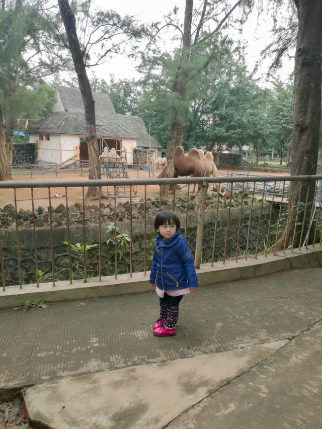 Jinniuling Park