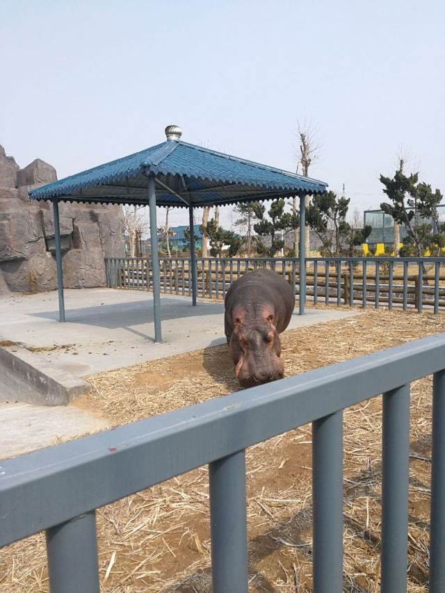 룽커우 동식물원
