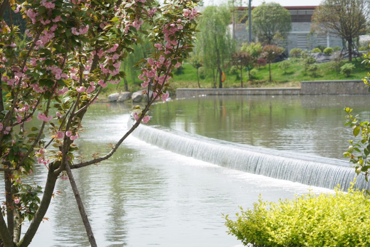 什邡雍湖公园