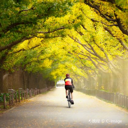 日本大阪+京都+奈良+东京+富士山7日6晚拼小团