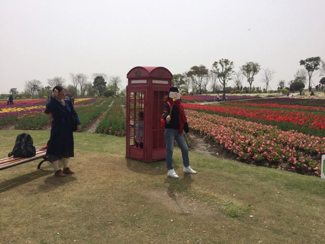 Zhoupu Sea of Flowers