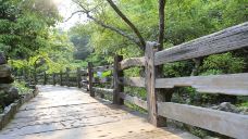 雁南飞茶田景区-桥溪古韵-梅州-doris圈圈