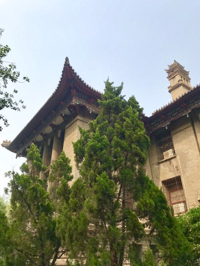 河南大学文物馆