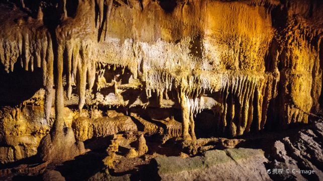 <4天>【美中西奇蹟風情之旅】·芝加哥+印第安納波利斯+大霧山公園賞秋+加特林堡+查塔努加+猛獁洞國家公園+穿越大霧山國家公園(4人成團)