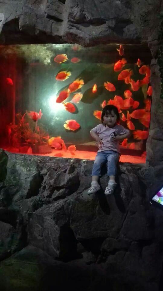 Qujiang Polar Ocean Park