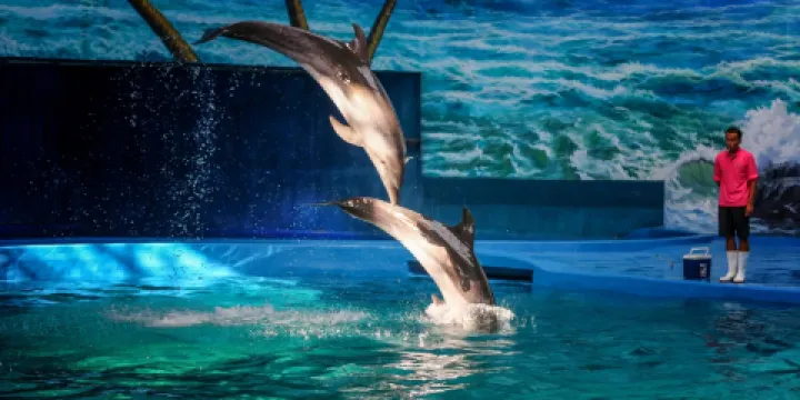 贛州極地海洋世界