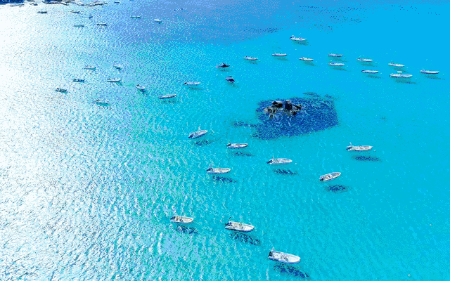这就是科西嘉岛——地中海第四大岛屿，神秘而宁静，鲜少有国人到访，我们却为它迷人的光与影而来！这里的悬