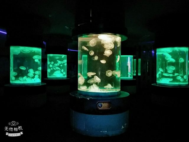 Nanchong Polar Ocean World