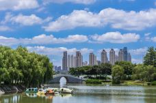 月湖风景区-武汉-尊敬的会员