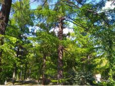 牡丹江人民公园-牡丹江-_CFT01****9302889