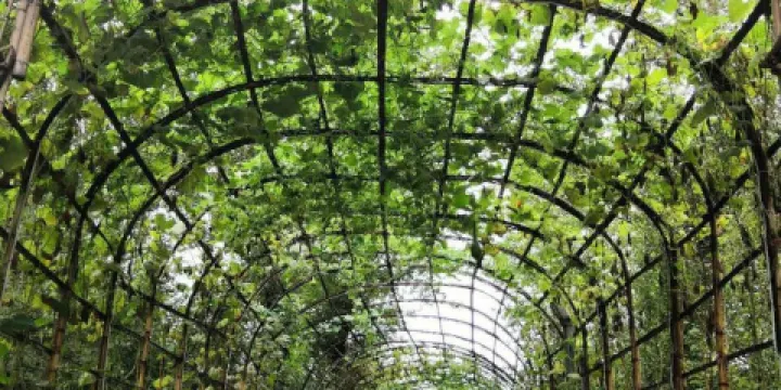 梅河口市長白山植物園